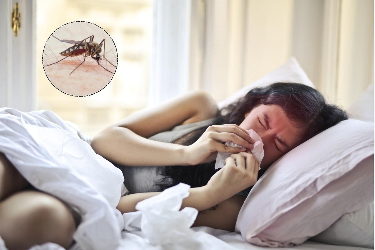 Sai lầm nghiêm trọng khi bị sốt xuất huyết khiến bạn có thể mất mạng 2