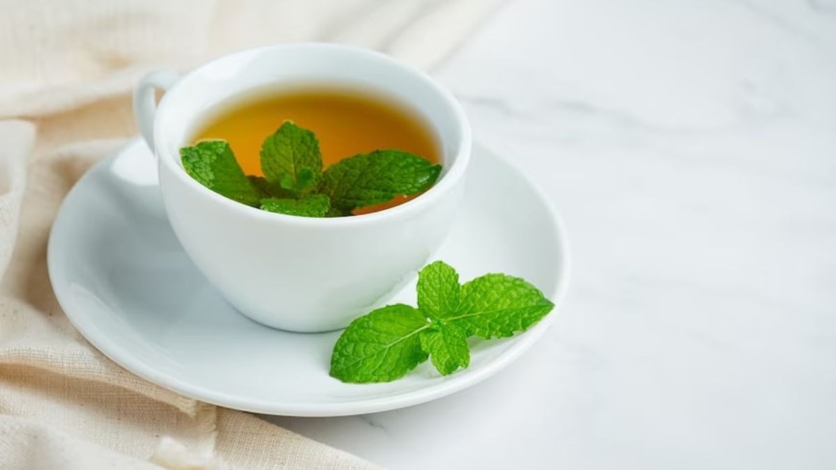 Bài thuốc chữa đau đầu bằng bạc hà 3