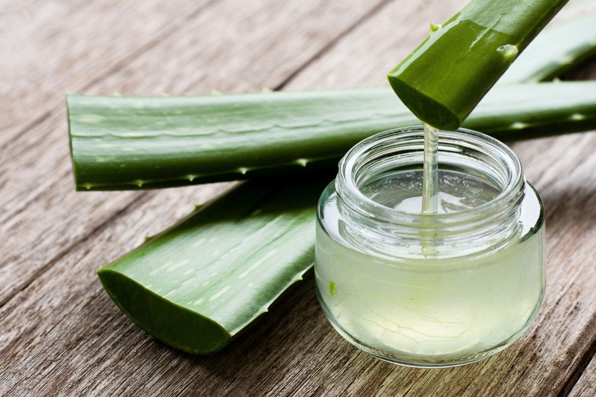 Trị Nám An Toàn Bằng Thảo Dược Thiên Nhiên 1