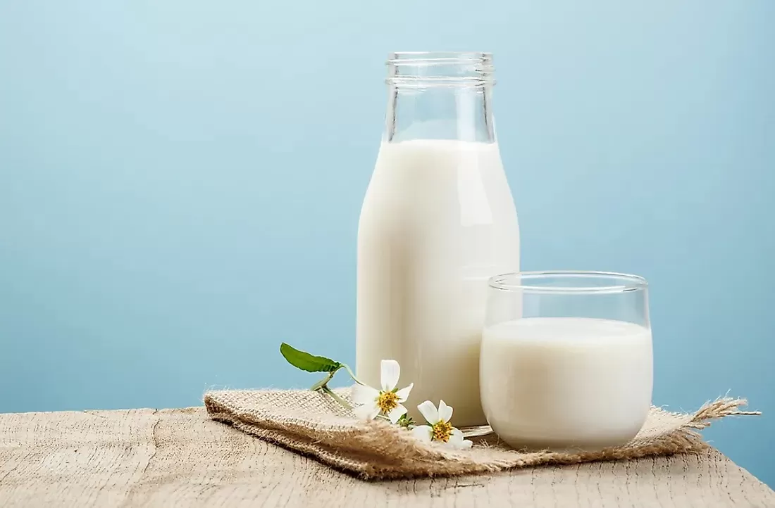9 Loại Sữa Phổ Biến Và Bí Quyết Chọn Loại Phù Hợp Cho Sức Khỏe