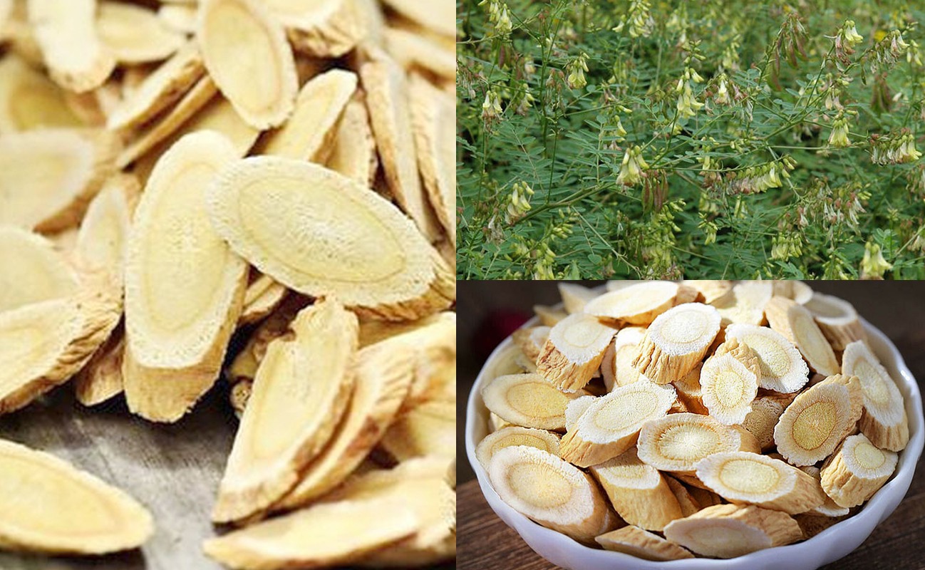 Bài Thuốc Đông Y Trị Viêm Họng Hạt Hiệu Quả 3