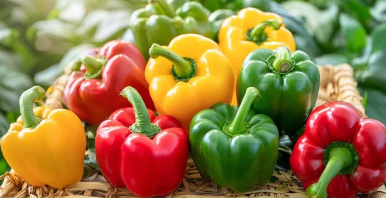 Chế Độ Dinh Dưỡng Cho Người Bị Loét Dạ Dày 1