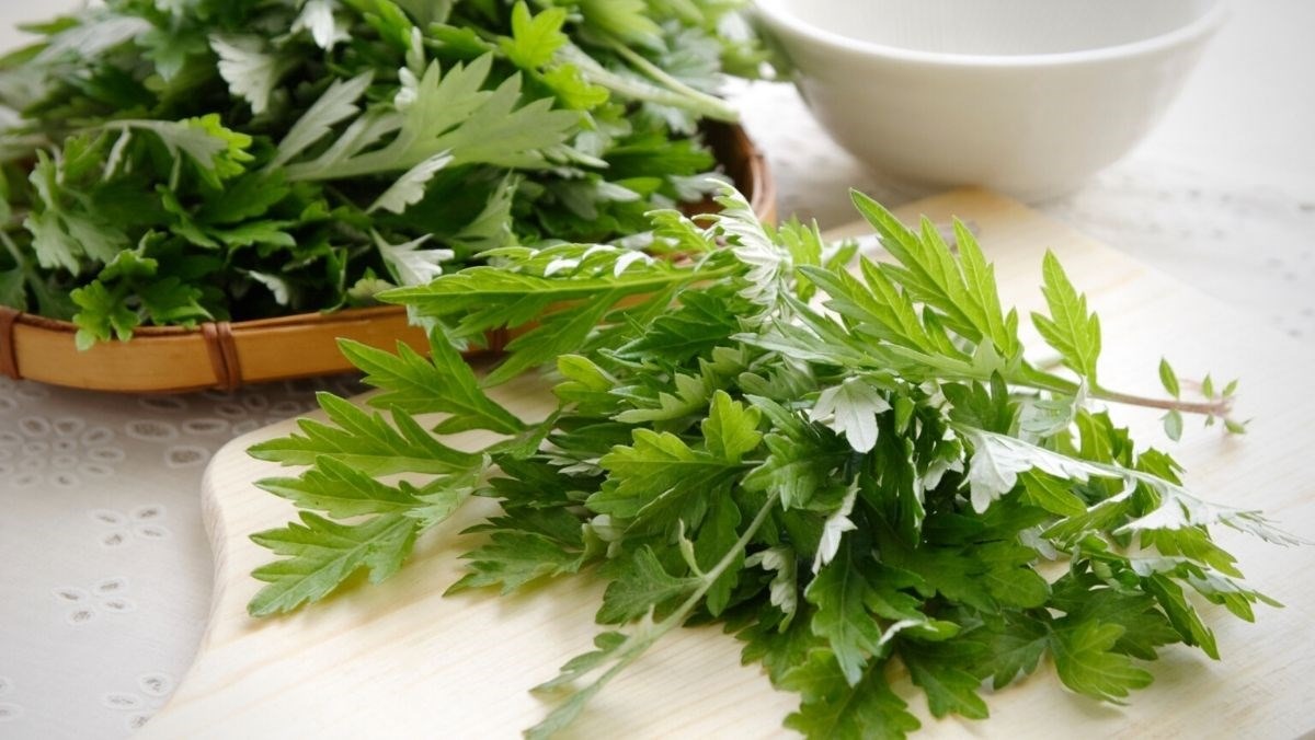 Những Rủi Ro Trong 3 Tháng Đầu Thai Kỳ Và Thực Phẩm Cần Tránh 2