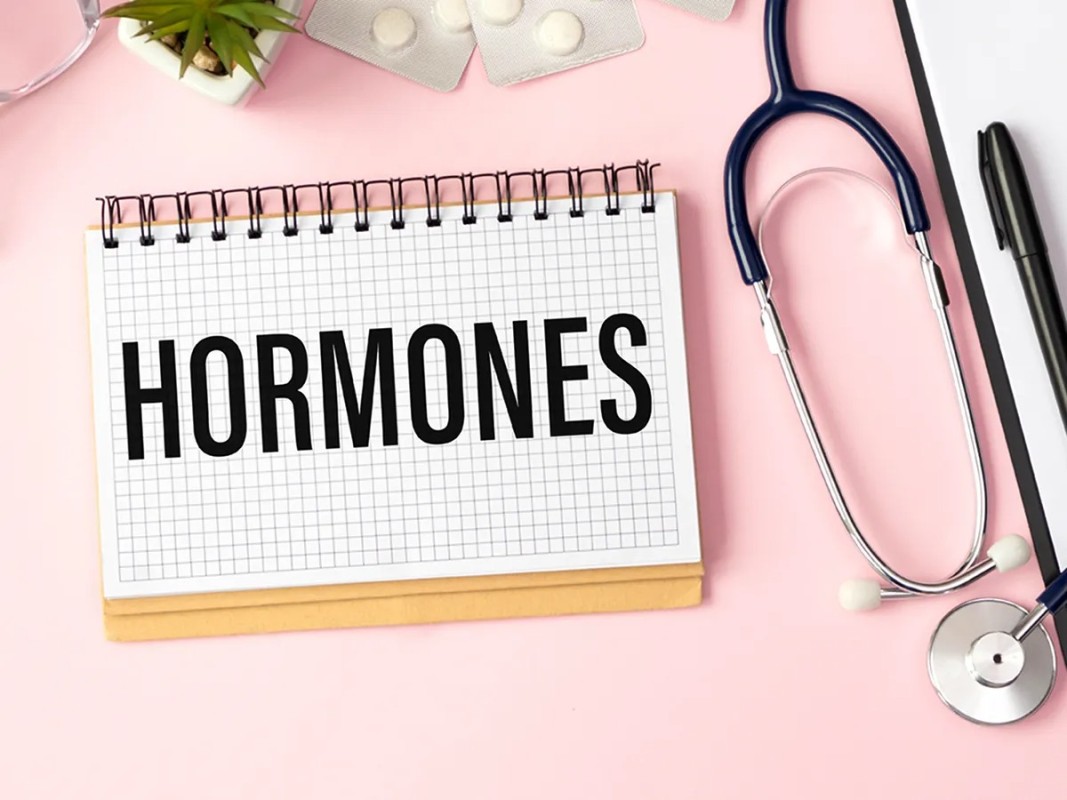 Tại Sao Việc Giữ Cân Bằng Hormone Lại Quan Trọng 2