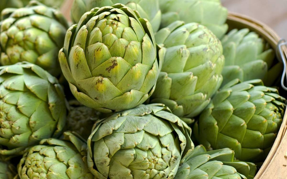 Cách Sử Dụng Cây Atiso Để Thanh Lọc Cơ Thể Hiệu Quả 1