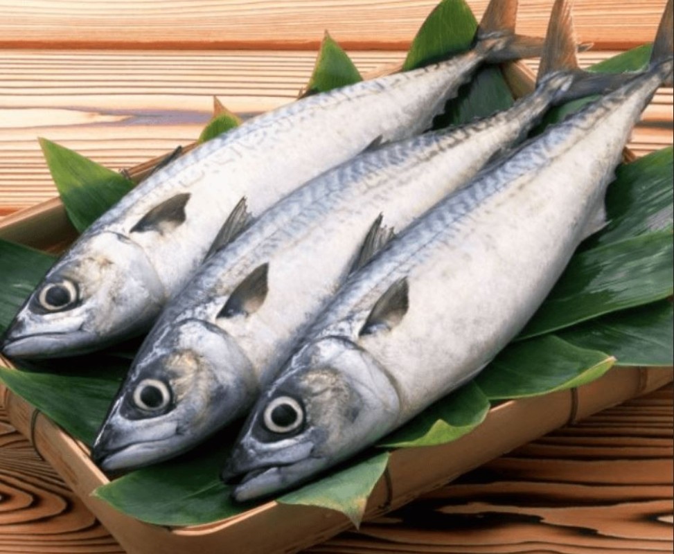 Tại Sao Nên Ăn Nhiều Cá Trong Chế Độ Ăn Hàng Ngày 2