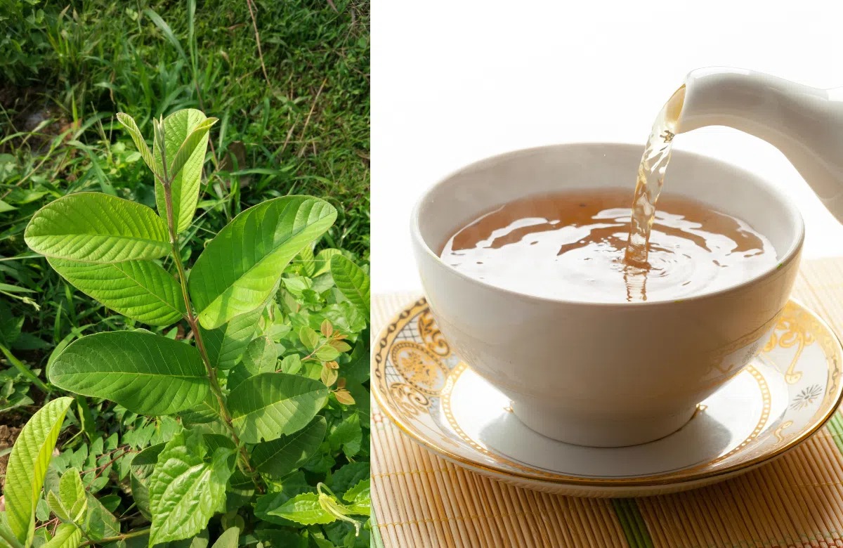 Bài Thuốc Dân Gian Trị Đau Bụng Do Lạnh Hiệu Quả 4