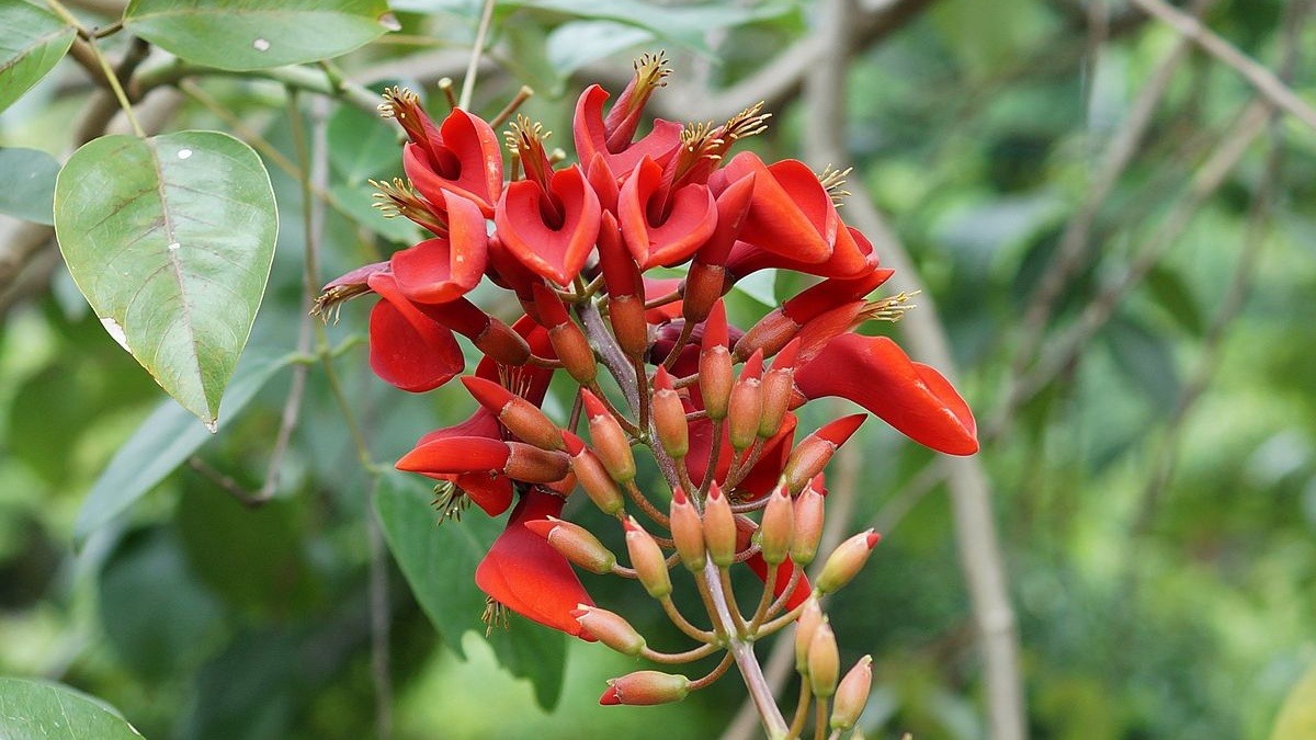 7 Bài thuốc ngủ ngon tự nhiên 2