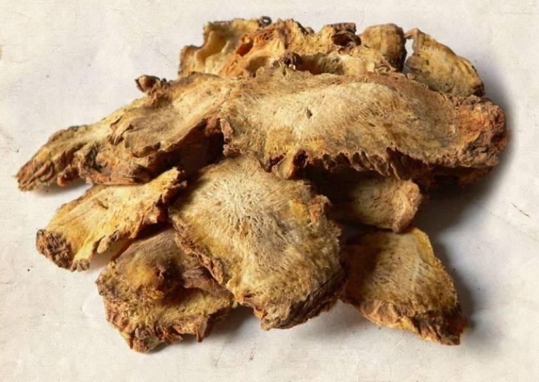 Bài Thuốc Bổ Gân Cốt – Giảm Đau Mỏi Khớp Hiệu Quả Từ Gốc