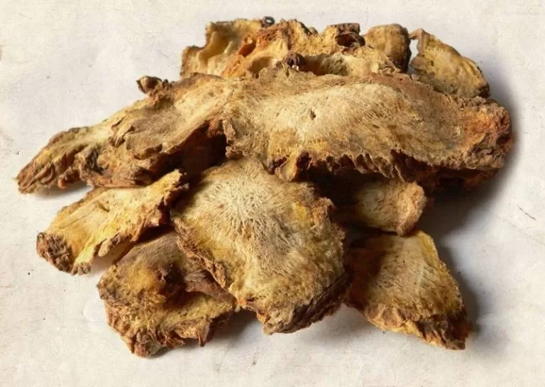 Bài Thuốc Bổ Gân Cốt – Giảm Đau Mỏi Khớp Hiệu Quả Từ Gốc